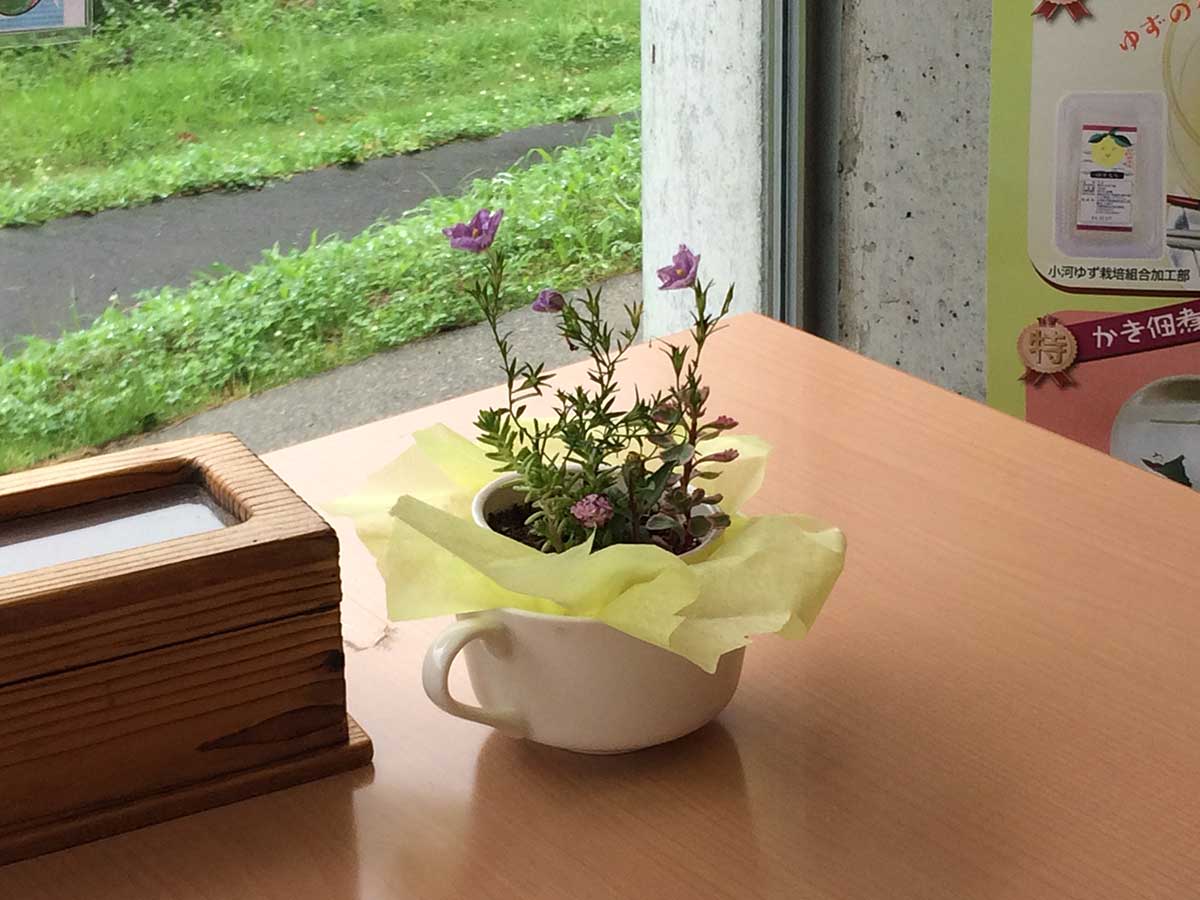 ひまわり館のテーブルと花